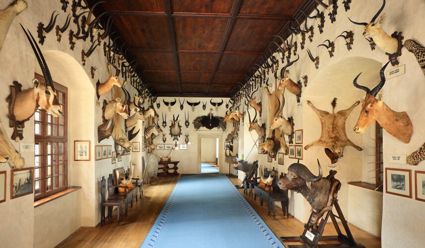 Africký sál, SZ Telč Africký sál, SZ Telč